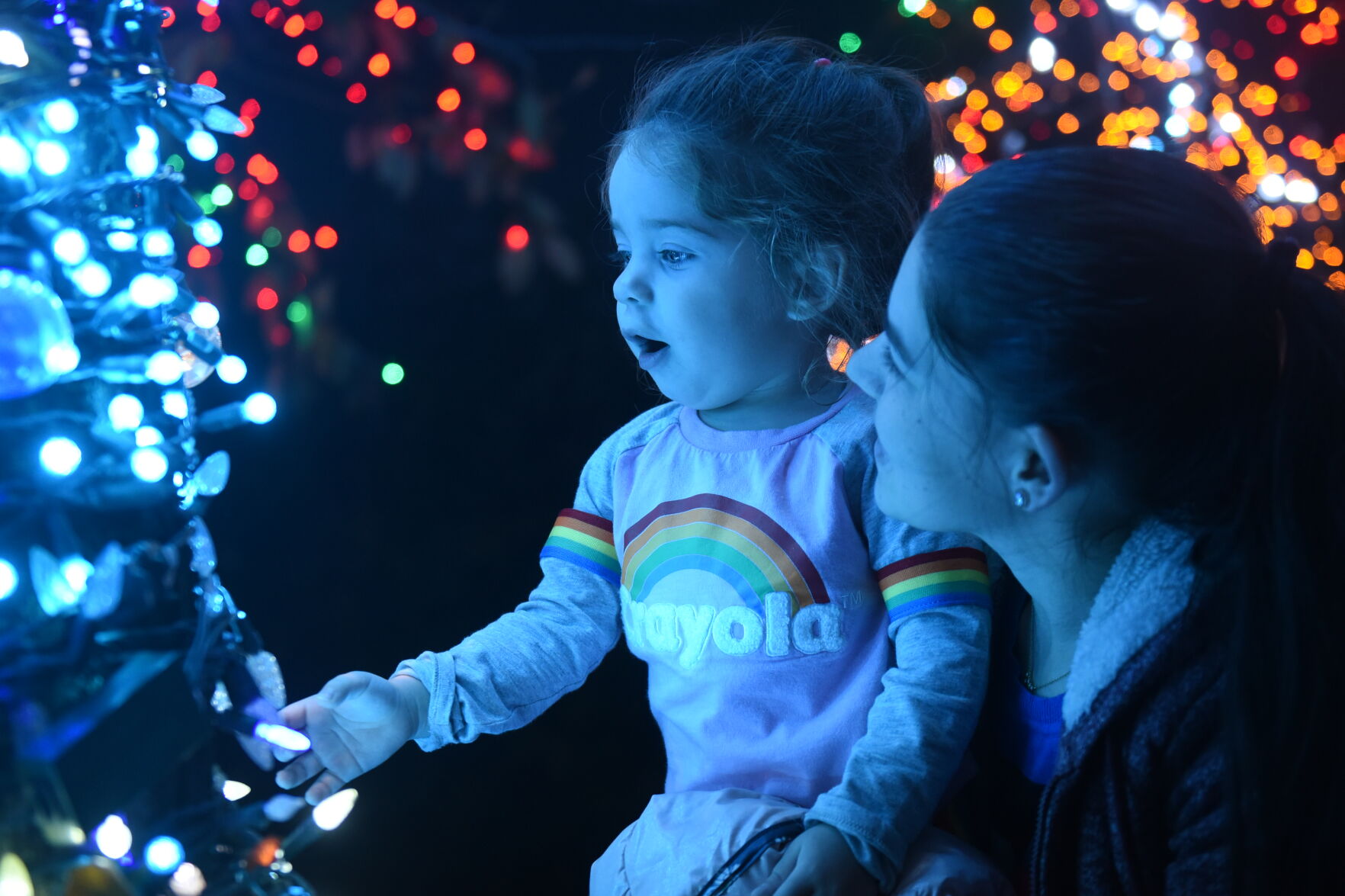 Yasmina looks at the Magic Tree
